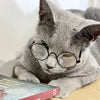 Cute Vintage Round Cat Sunglasses Pet Photos Props Reflection Eyewear Glasses for  Cats Small Dog Pet Dog Cat Accessories