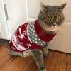 Cute Cat Sweater Costume Winter Warm Pet Clothes for Cats Katten Sphynx Pullover Mascotas Clothing Gatos Products for Animals