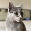 Cute Vintage Round Cat Sunglasses Pet Photos Props Reflection Eyewear Glasses for  Cats Small Dog Pet Dog Cat Accessories