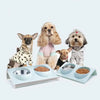 1 Set Pet Bowl Dual Bowl Design Stainless Steel Dog Cat Puppy Feed Food Water Dish Pet Supplies