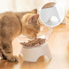 Plastic Tilted Elevated Cat Bowl Tilted Antichoking Pet Protector Feeder Bottom High Bowl Pet Neck Protection Feeding Bowl