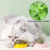 Cat Mint Ball Rotating Ball Wall Cat Toy Accessories for Cats Games Catnip Licking Snacks Mint Freshen Breath Pet Supplies