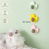 Cat Mint Ball Rotating Ball Wall Cat Toy Accessories for Cats Games Catnip Licking Snacks Mint Freshen Breath Pet Supplies