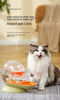 Big Capacity Cat Water Fountain Cats Water Dispenser  Cat Drinker Bowl Recirculate Filtring Drinker for Cats Water Dispenser