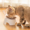 Plastic Tilted Elevated Cat Bowl Tilted Antichoking Pet Protector Feeder Bottom High Bowl Pet Neck Protection Feeding Bowl