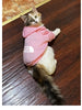 fashion cat cool clothes autumn winter puppy kitty letter printed  hoodies accesorios kitten clothes jumper designer