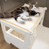 Transparent Cat Cages Home Indoor Multi-storey Pet Villa Cat Litter One Super Large Space Cat Cage House Pet Product E