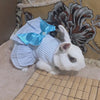 Cat Puppy Princess Dress Summer Pet Clothes Striped Plaid Dresses with Bow for Cats Kitten Rabbit Sphynx Clothing ropa para gato